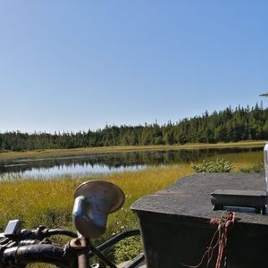 Meet your Posher, Dustin